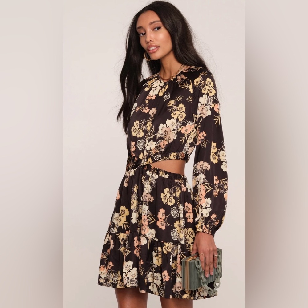 NEW Heartloom Mika Dress - Picture 2 of 14